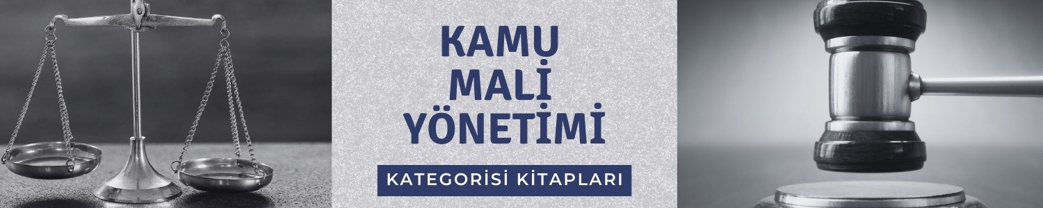 Kamu mali yönetimi